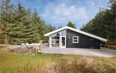 a black tiny house with a wooden deck at Four-Bedroom Holiday Home In Fjerritslev in Fjerritslev