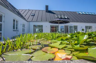 a pond with lilies and an umbrella in front of a house at Kunstart20 in Saltum