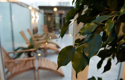 a tree branch with leaves in a room with chairs at Golf Hotel Viborg in Viborg