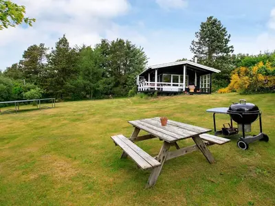 a picnic table and a grill in a field at 4 person holiday home in Højslev in Højslev