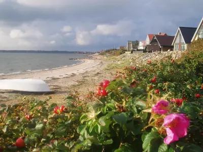 a beach with houses and flowers next to the water at Glyngøre Bed & Breakfast in Glyngøre