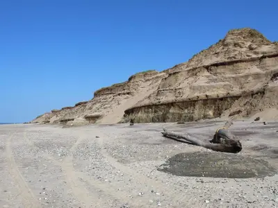 a dead seal laying on a beach next to a cliff at 5 person holiday home in Vestervig-By Traum in Vestervig