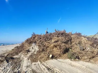 a large pile of seaweed on a beach at 6 person holiday home in Løkken-By Traum in Løkken