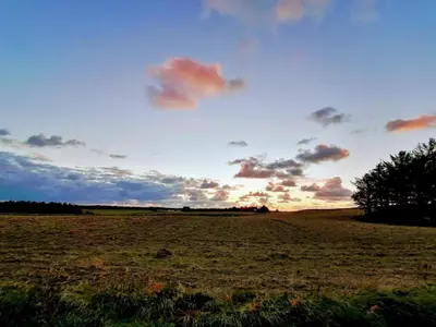 an open field with a cloudy sky in a field at Modern Retreat with Spa - By Traum Ferienwohnungen in Løkken