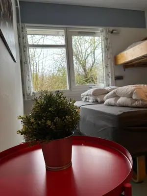 a room with two beds and a red table with a potted plant at Danhostel Aalborg in Aalborg