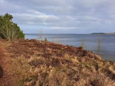 a grassy hill next to a body of water at 8 person holiday home in Højslev-By Traum in Højslev
