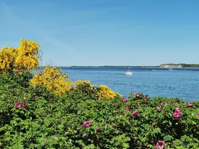 a view of a body of water with flowers and a boat at 8 person holiday home in Højslev-By Traum in Højslev