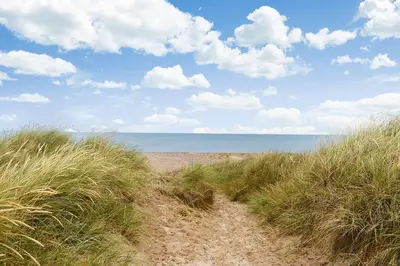 a path through the grass on a beach at First Camp Klim Strand - Nordvestkysten in Fjerritslev