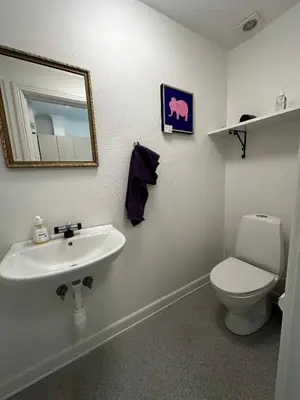 a bathroom with a sink and a toilet and a mirror at Oasen in Viborg