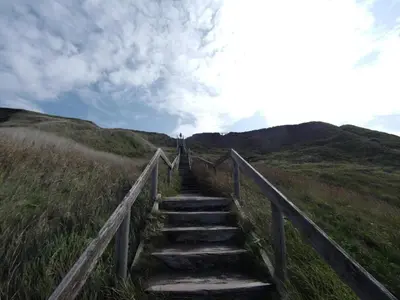 a set of stairs leading up a hill with a sky at Cozy Beach House Retreat - By Traum Ferienwohnungen in Harboør