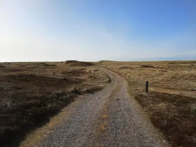 a dirt road in the middle of a field at 10 person holiday home in Frøstrup-By Traum in Frøstrup