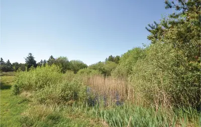 a field of tall grass and trees on a hill at Three-Bedroom Holiday Home In Frostrup in Frøstrup