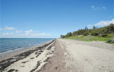 a sandy beach with water and trees on it at Two-Bedroom Holiday Home In Spottrup in Spottrup