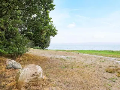 a dirt road next to a tree and the ocean at 4 person holiday home in Nykøbing M-By Traum in Refshammer