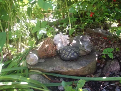 a group of rocks sitting on top of a rock at 