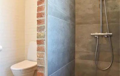 a bathroom with a toilet and a shower at Nice Home In Thisted With Sauna in Thisted
