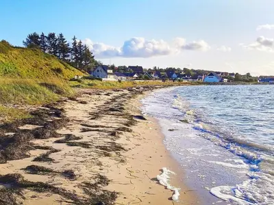 a sandy beach next to a body of water at Seaside Retreat in Hvalpsund-By Traum in Farsø