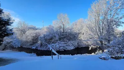 a snow covered field with trees and a river at Bente's Guesthouse in Holstebro