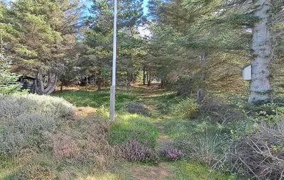 a pole in the middle of a field with trees at Nice Home In Thisted With Sauna in Thisted