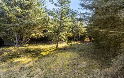 a path through the trees in a field at Nice Home In Thisted With Sauna in Thisted
