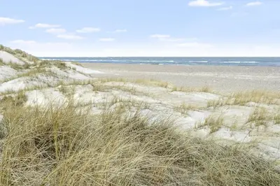 a sandy beach with tall grass and the ocean at Hotel Nor - Badehotellet in Fjerritslev
