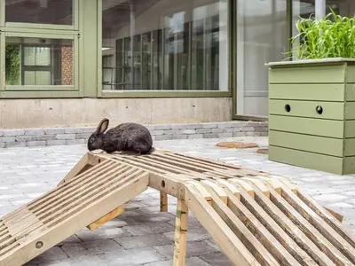 a black cat sitting on top of a wooden bench at Seaside escape in Hanstholm in Hanstholm