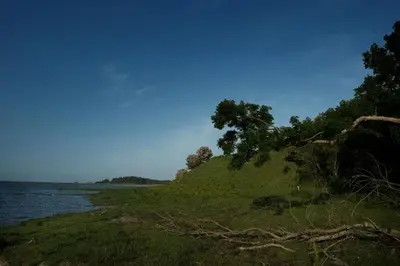 a grassy hill next to a body of water at Skibstedgaard in Hurup