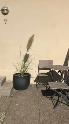 a potted plant sitting next to a table and chairs at Seaside VØ in Nørre Vorupør