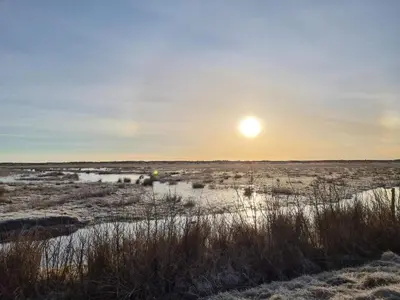 a sunrise over a marsh with the sun in the sky at 6 person holiday home in Brovst in Brovst