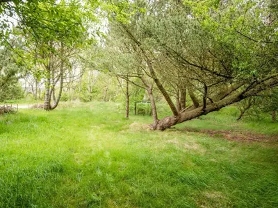 a tree in a field with green grass at Secluded Retreat by Limfjorden - By Traum Ferienwohnungen in Sindrup