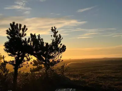 a silhouette of a tree on a hill with the sunset at Secluded Retreat by Limfjorden - By Traum Ferienwohnungen in Sindrup