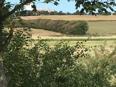 a field with animals grazing in the distance at Nationalpark Thy guesthouse in Vestervig