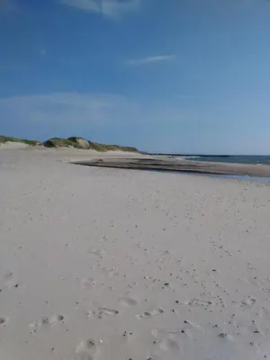 a beach with footprints in the sand and the ocean at Rikke og Franks Svineri in Lemvig