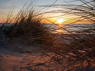 a sunset on the beach with tall grass at Luxury Beach House in Blokhus - By Traum Ferienwohnungen in Blokhus