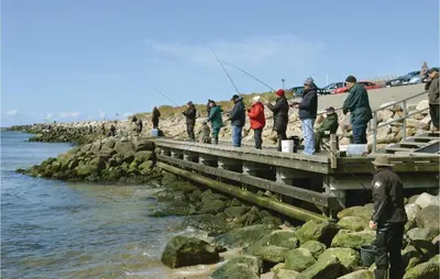 a group of people fishing on a pier at Holiday Home Klitengene Ulfborg Vi in Ulfborg