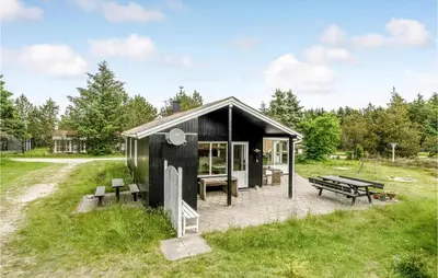 a black tiny house in a field with a picnic table at Holiday Home Mølgårdsvej Thisted in Thisted