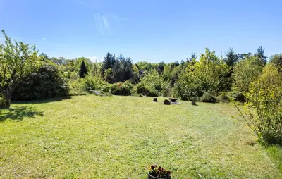 a large grassy field with trees in the background at Holiday Home Pinen Roslev X in Roslev