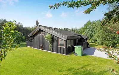 a black tiny house in a garden at Holiday Home Rønnevej Fjerritslev Ix in Fjerritslev