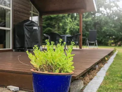 a blue potted plant sitting on a wooden deck at 6 person holiday home in Løgstør in Løgsted
