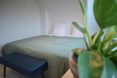 a bedroom with a bed and a potted plant at Viking Surf House in Klitmøller