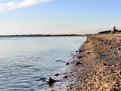 a person laying on the shore of a body of water at 8 person holiday home in Løgstør-By Traum in Løgsted