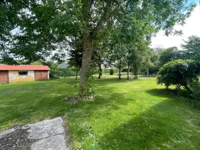 a tree in the middle of a green yard at Room 6 - Hawkraft Kulturhotel in Vestervig