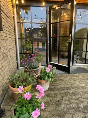 a group of potted plants in front of a building at Room 5 - Hawkraft kulturhotel in Vestervig