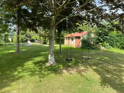 a tree with two swings in a yard at Room 5 - Hawkraft kulturhotel in Vestervig