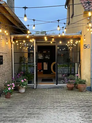 a store front with lights and potted plants at Room 3 - Hawkraft kulturhotel in Vestervig