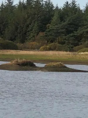 an island in the middle of a body of water at Istrup gammel skole in Bedsted Thy