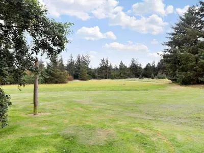 a field with a tree in the middle of it at 6 person holiday home in Bedsted Thy-By Traum in Bedsted Thy