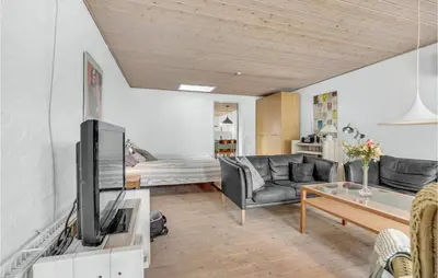 a living room with a couch and a tv at Gorgeous Apartment In Blokhus With Wifi in Blokhus