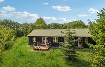a black house in the middle of a field at 3 Bedroom Cozy Home In Vemb in Vemb