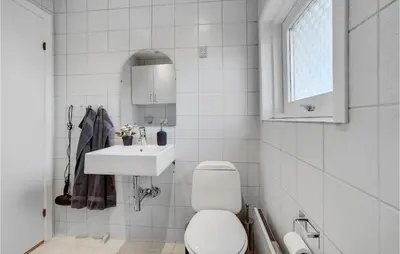 a white bathroom with a toilet and a sink at Awesome Home In Øster Assels With Sauna in Øster Assels
